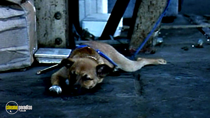 A still #35 from Onibi (1997)