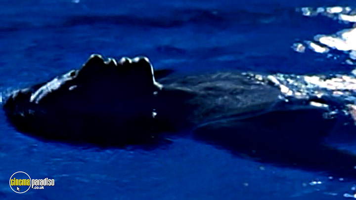 A still #54 from Onibi (1997)
