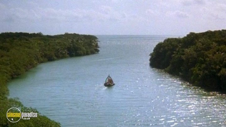 A still #3 from The Mosquito Coast (1986)