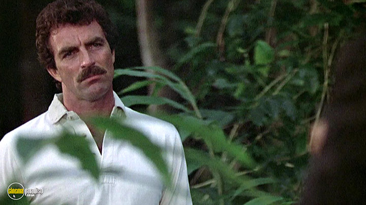 A still #32 from Magnum P.I.: Series 3 (1982)