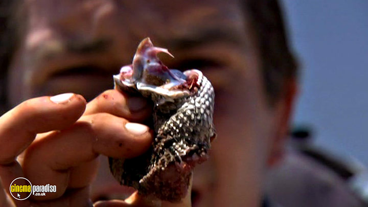 A still #20 from Born Survivor: Bear Grylls: Southern Africa (2008)