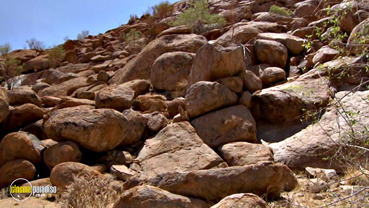 A still #17 from Born Survivor: Bear Grylls: Southern Africa (2008)