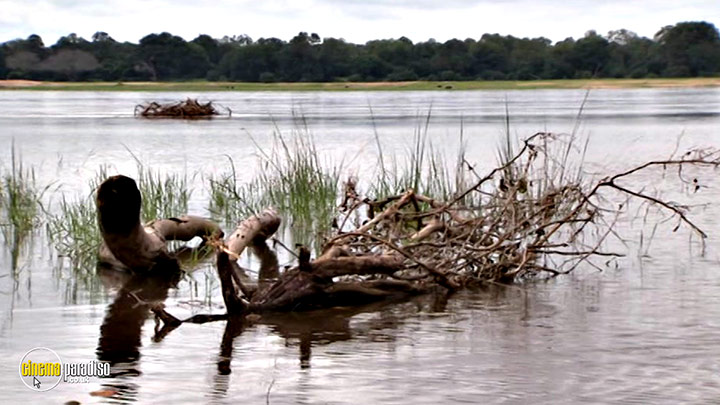 A still #6 from Born Survivor: Bear Grylls: Southern Africa (2008)