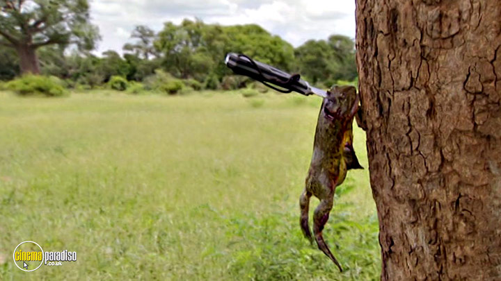 A still #5 from Born Survivor: Bear Grylls: Southern Africa (2008)