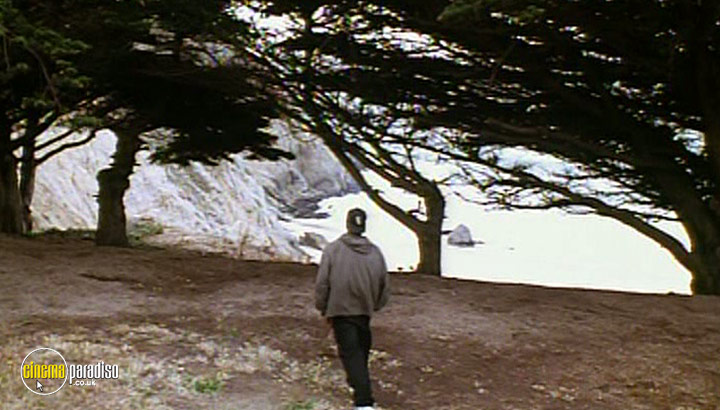 A still #4 from Poetic Justice (1993)