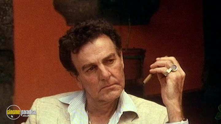 A still from Fist Fighter (1989) 