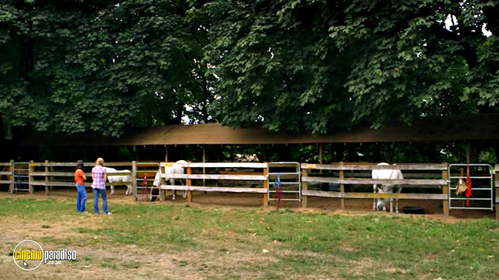 A still #26 from A Horse for Alex (2014)