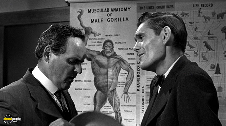 A still #84 from Inherit the Wind (1960)