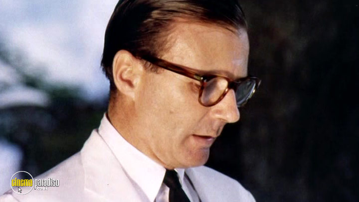 A still #1 from Roundabout: A Year in Colour: 1963 (1963)