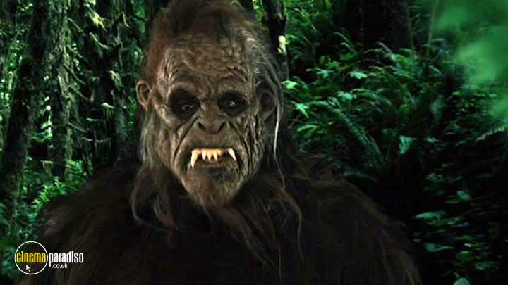 A still #1 from Sasquatch Hunters (2018)