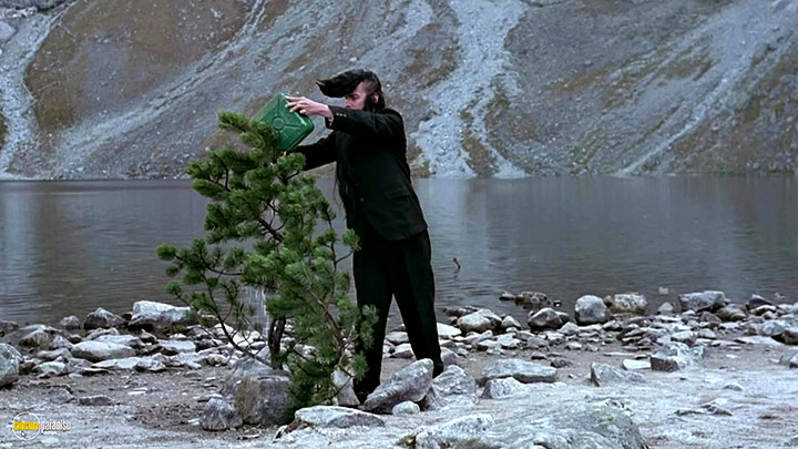 A still #26 from Leningrad Cowboys Go America (1989)
