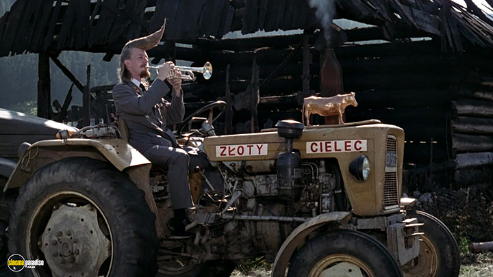 A still #25 from Leningrad Cowboys Go America (1989)