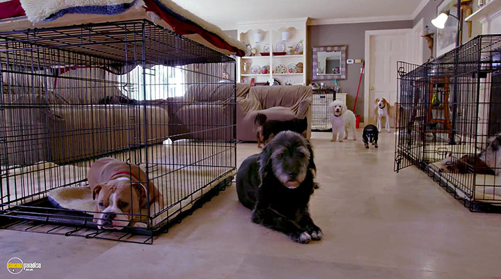 A still #15 from Life in the Doghouse (2018)