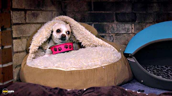 A still #11 from Life in the Doghouse (2018)
