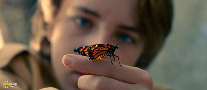 A still #23 from The Butterfly Tree (2017)