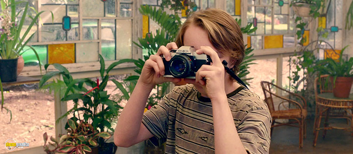 A still #22 from The Butterfly Tree (2017)