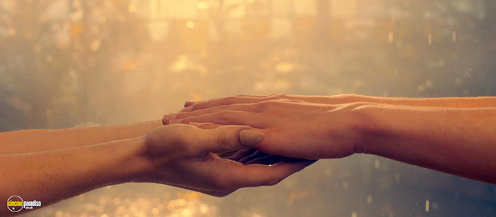 A still #17 from The Butterfly Tree (2017)