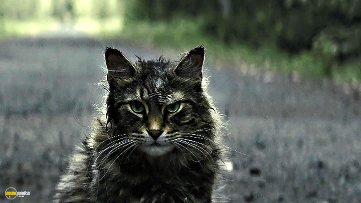 A still #1 from Pet Sematary (2019)