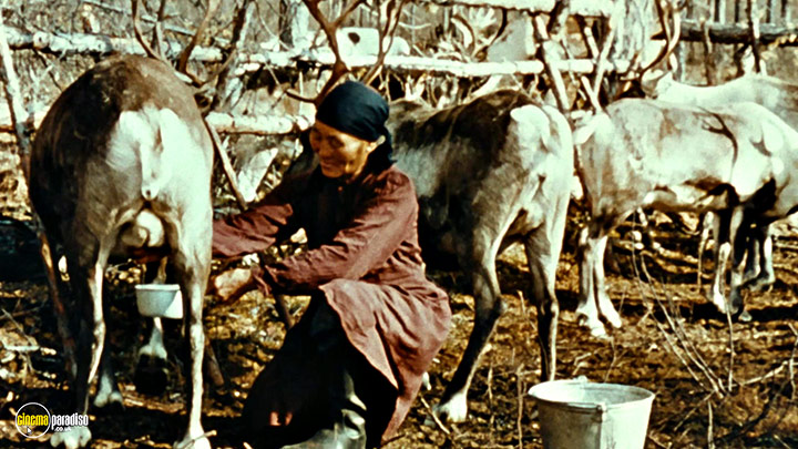 A still #4 from Chris Marker Collection (2004)