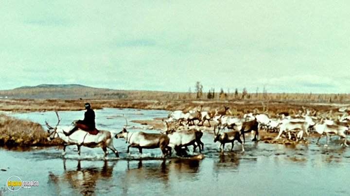 A still #1 from Chris Marker Collection (2004)