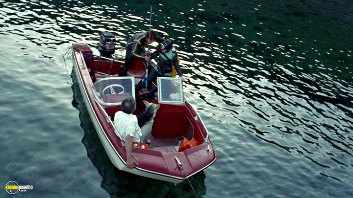 A still #18 from In the Eye of the Hurricane (1971)