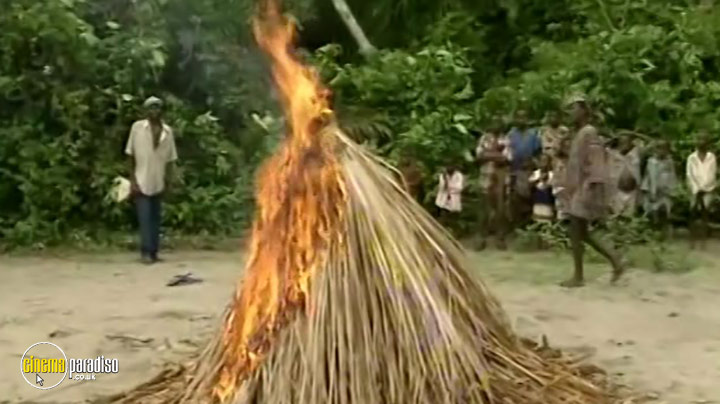 A still #2 from The Third Planet: The Last Iberian Wolves (2013)