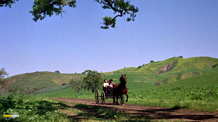 A still #17 from Support Your Local Sheriff (1969)