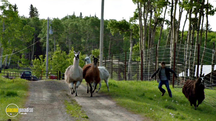 A still #18 from Heartland: Series 8 (2014)