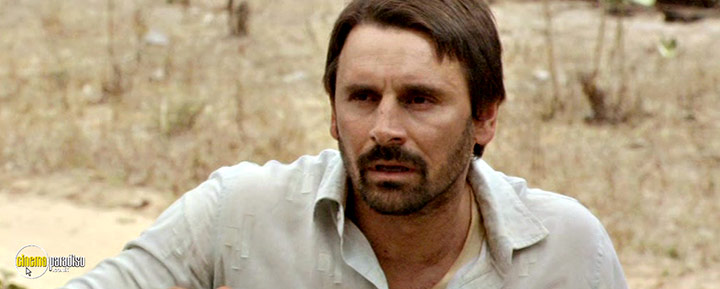 A still #5 from Area Q. (2011)