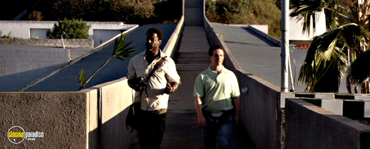 A still #10 from Area Q. (2011)