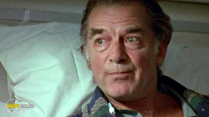 A still #3 from The Fragile Heart (1996)