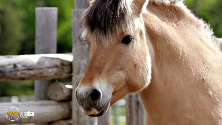 A still #13 from Heartland: Series 11 (2017)