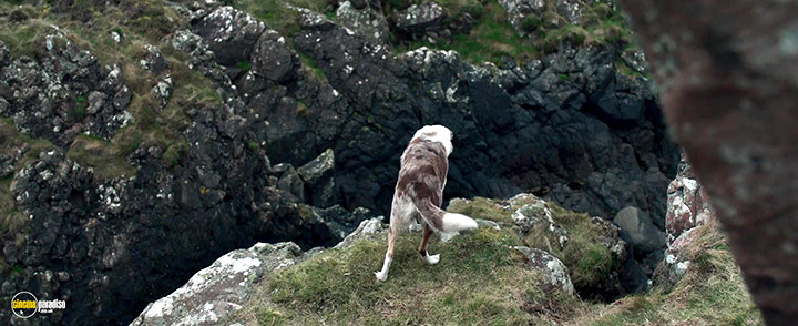A still #10 from The Vanishing (2018)