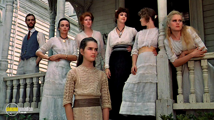 A still #11 from Pretty Baby (1978)