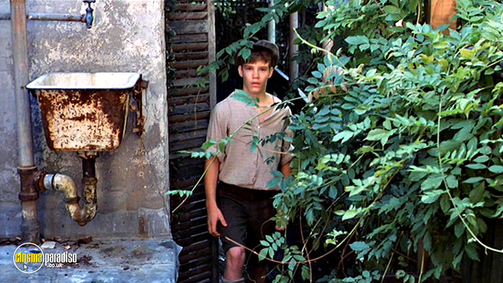 A still #8 from Pretty Baby (1978)