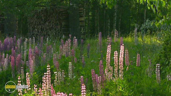 A still #3 from A Musical Journey: Finland - Jean Sibelius (2012)