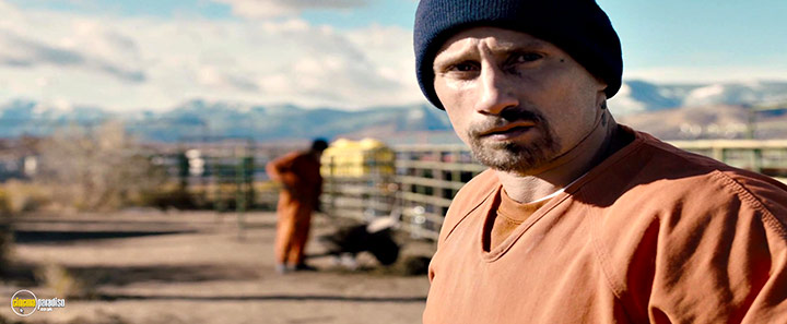 A still #12 from The Mustang (2019)
