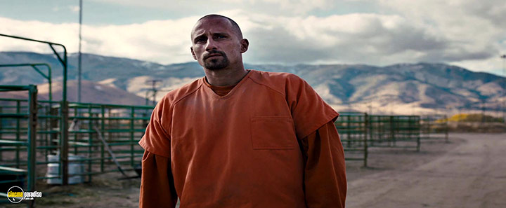 A still #1 from The Mustang (2019)