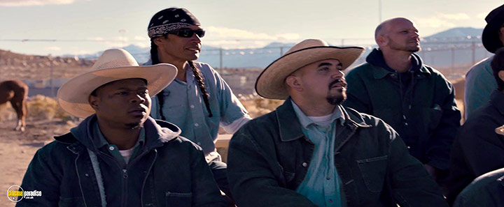 A still #9 from The Mustang (2019)