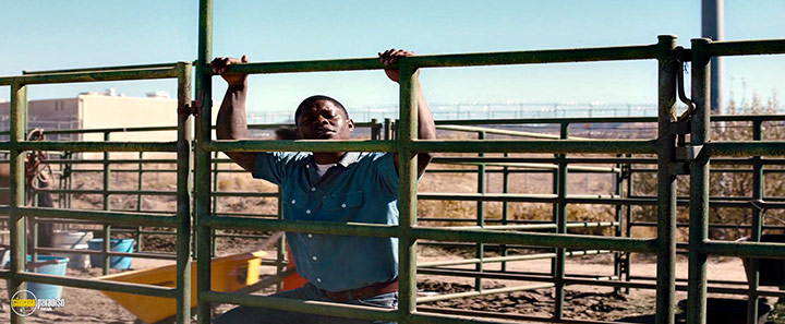 A still #5 from The Mustang (2019)