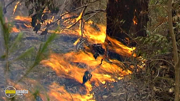 A still #13 from Inferno (2009)