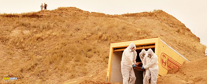 A still #26 from Dolan's Cadillac (2009)