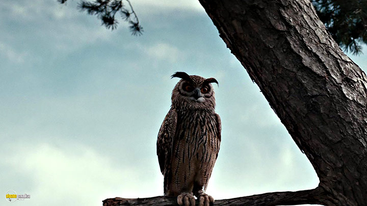 A still #19 from Christopher Robin (2018)