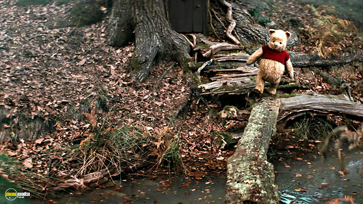 A still #12 from Christopher Robin (2018)