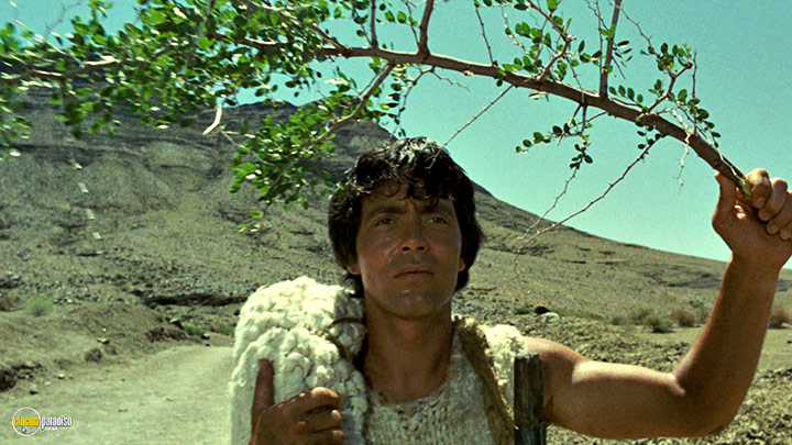 A still #32 from Oedipus Rex (1967)