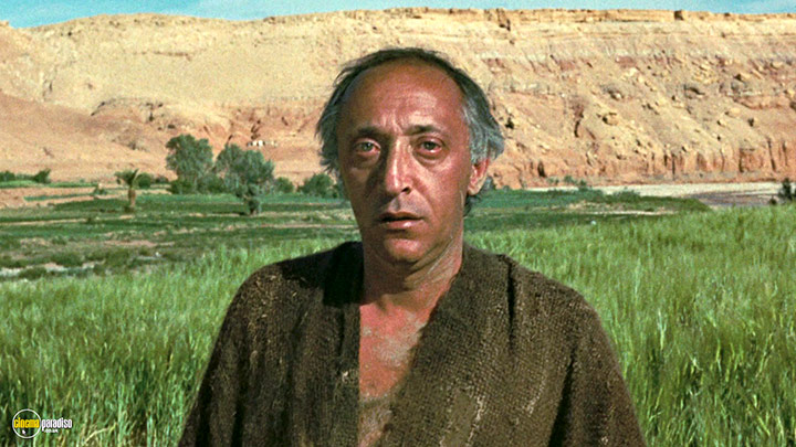 A still #5 from Oedipus Rex (1967)