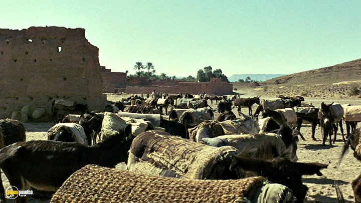 A still #11 from Oedipus Rex (1967)