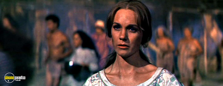 A still #1 from Hawaii (1966)