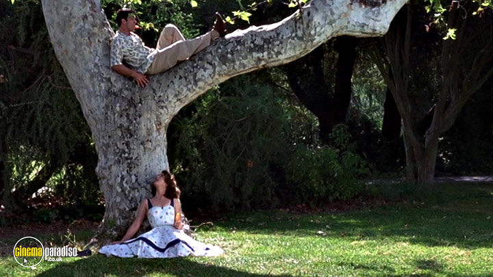 A still #14 from The Mambo Kings (1992)