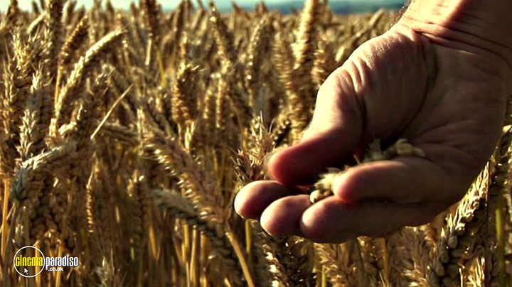 A still #1 from Food Matters (2008)